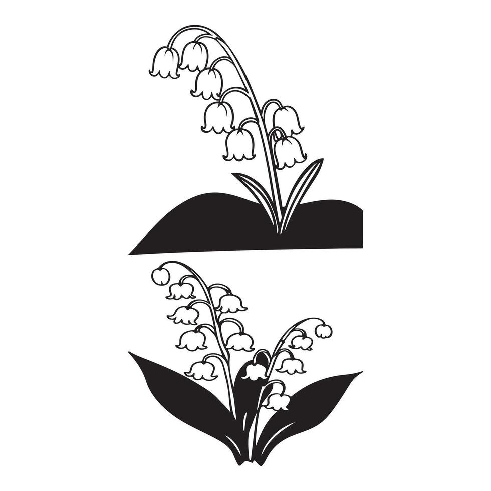 Lily of the Valley Line Art vector