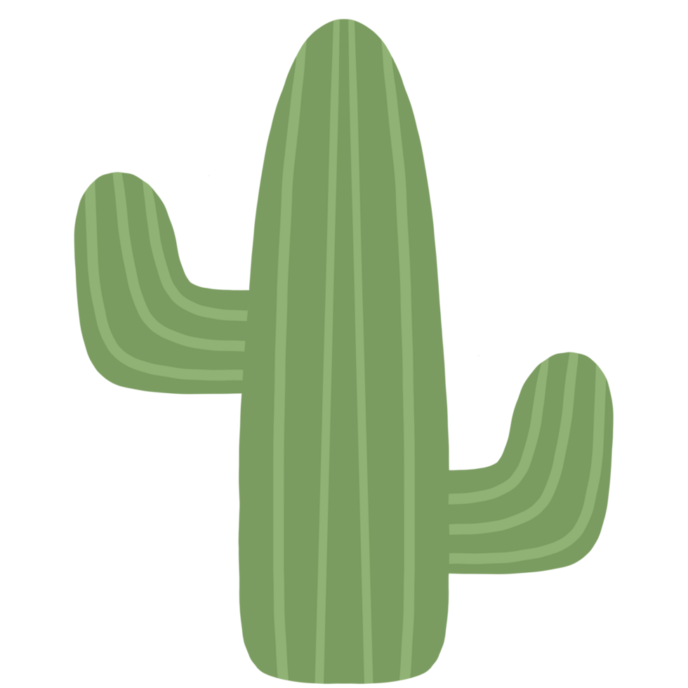 cactus plant icon, green, on transparent background png
