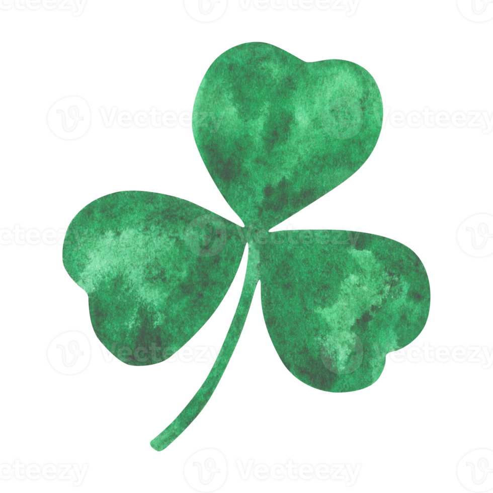 Hand painted clover leaf with watercolor. png