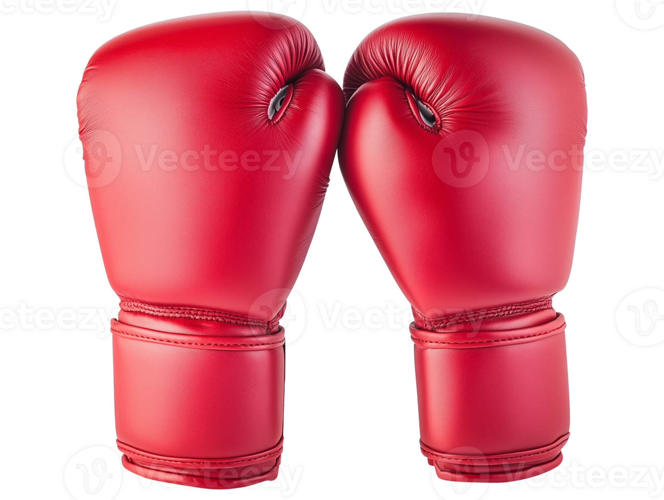 Pair of Red Boxing Gloves png
