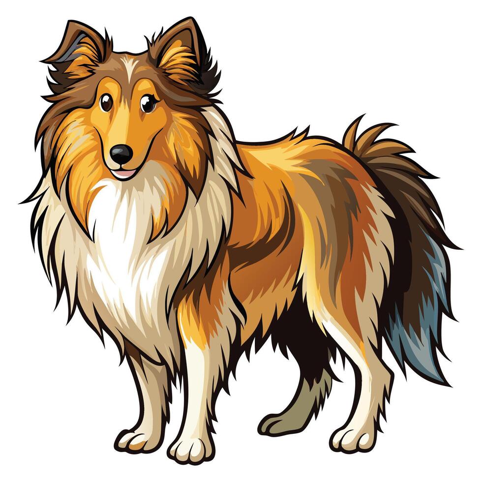 Cute rough collie dog on white background vector