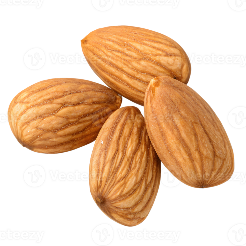 Four Whole Almonds with Detailed Texture Isolated on Transparent Background png