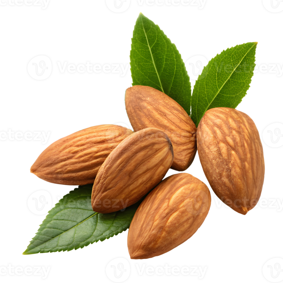 Almonds with Fresh Green Leaves Isolated on Transparent Background png