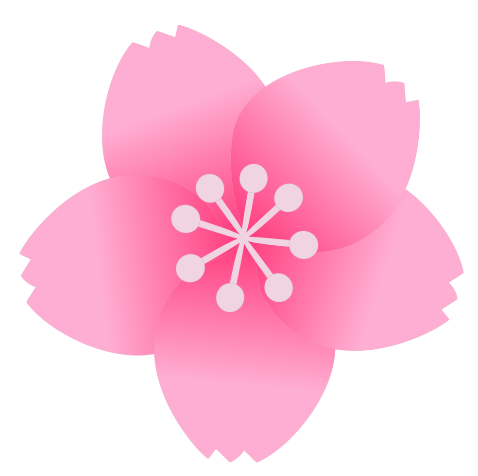Simple Floral Beauty Sakura png