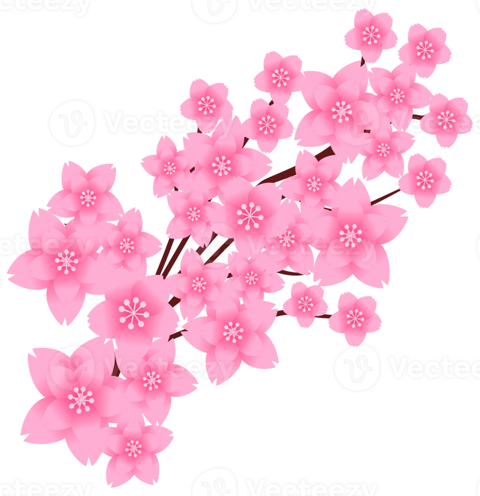 Delicate Sakura Branch png