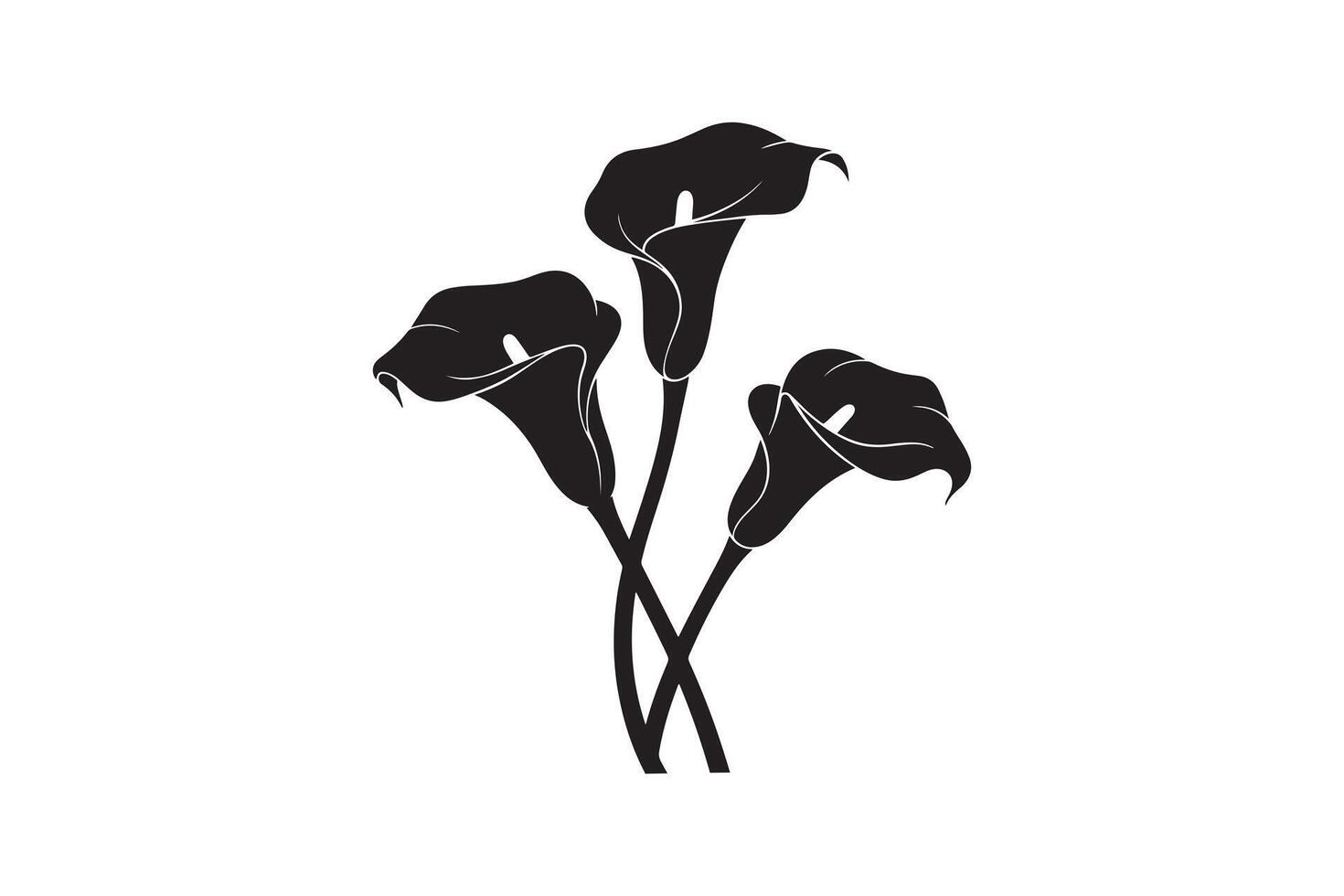 Elegant Silhouette of Three Calla Lilies vector