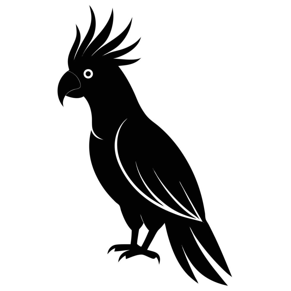 Isolated Black Cockatoo Bird with Crest Silhouette vector