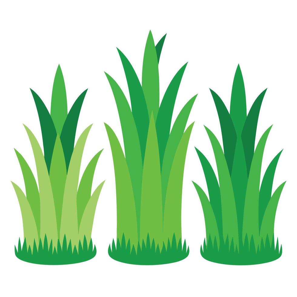 Three Green Grass Clumps on a Clean White Background Design vector