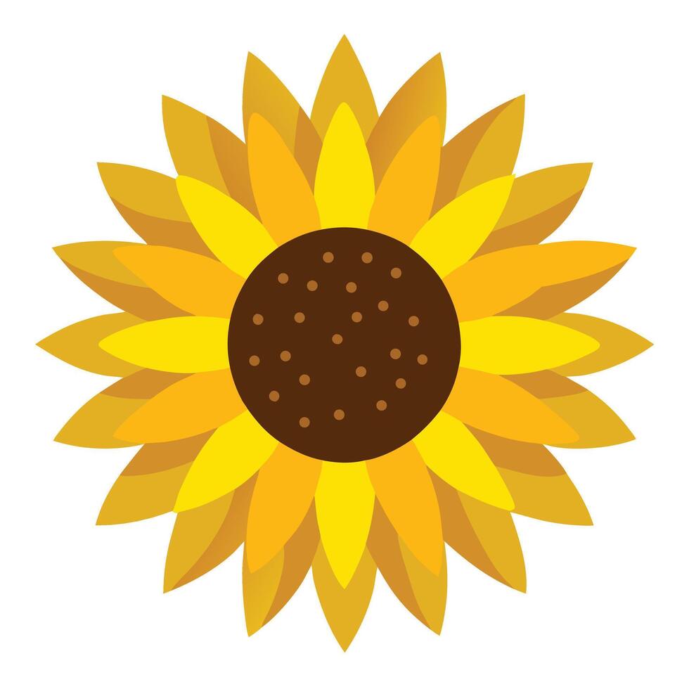 Flat Sunflower With Yellow Petals And Brown Center Isolated On A White Background vector