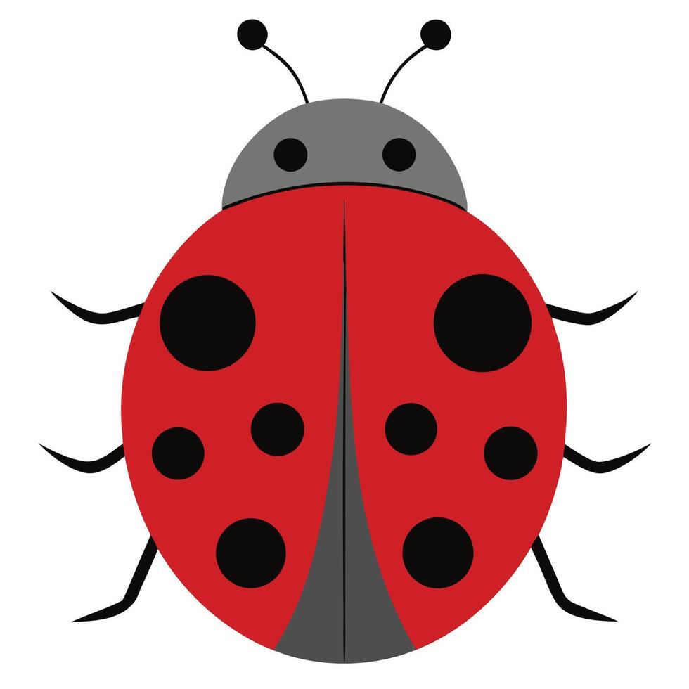 Ladybug with Red Shell and Black Spots on White Background vector