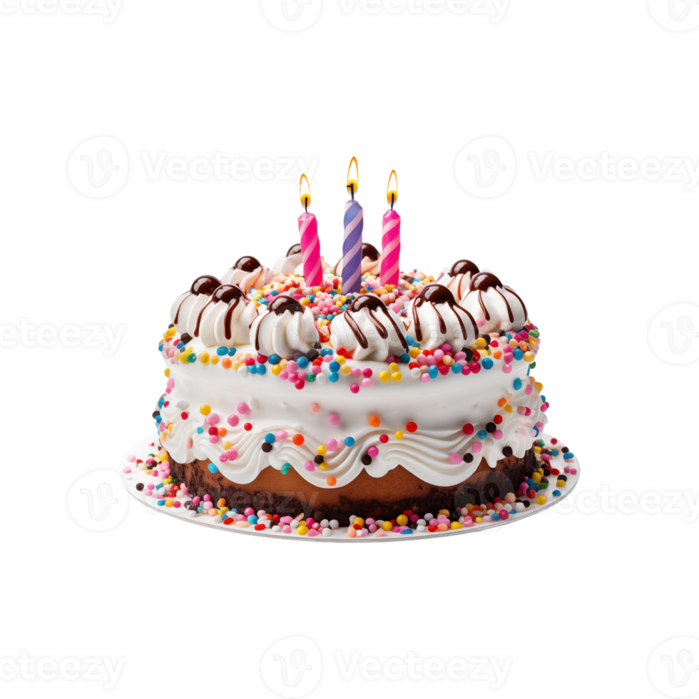 A birthday cake with candles on it png