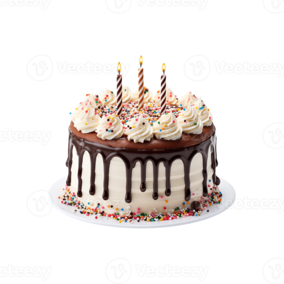 A chocolate cake with candles on it png