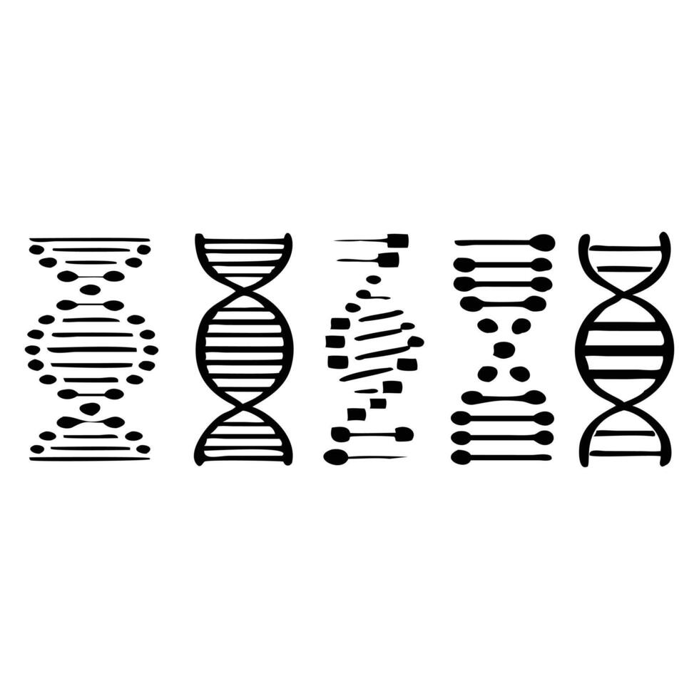 Five stylized DNA strand illustrations, hand-drawn style, black and white. vector