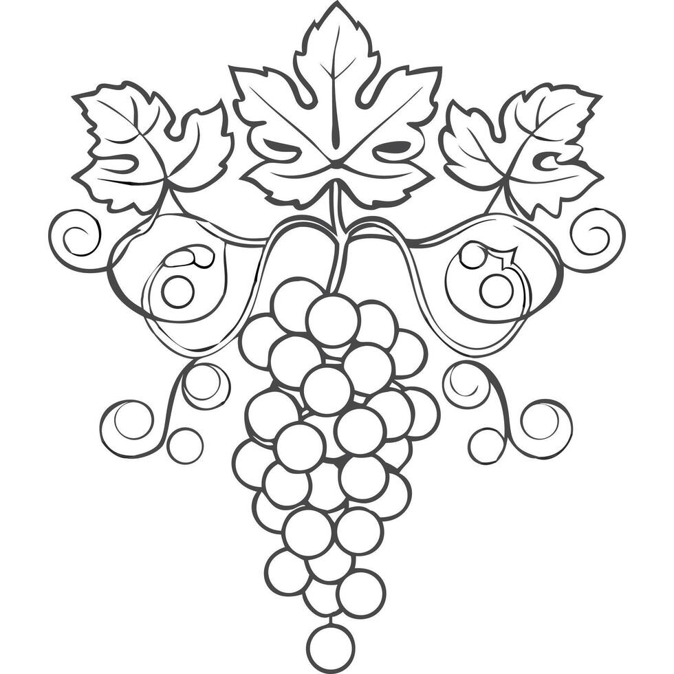 Elegant monochrome illustration of a grapevine with leaves and grapes. vector