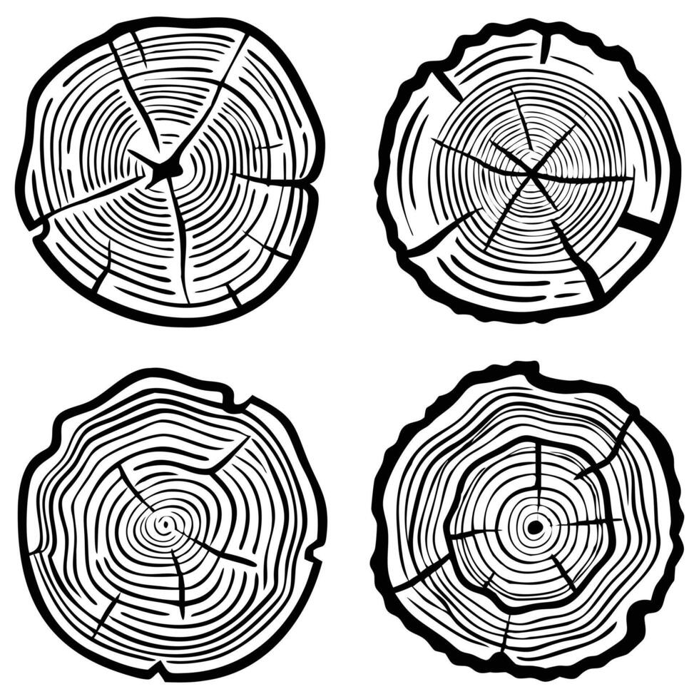 Four detailed black and white illustrations of tree rings, showcasing growth patterns. vector
