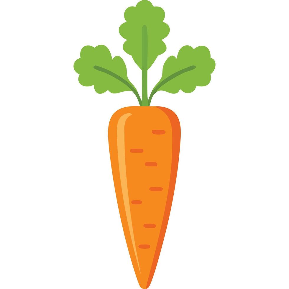 Single orange carrot with green leaves, simple flat design, illustration. vector