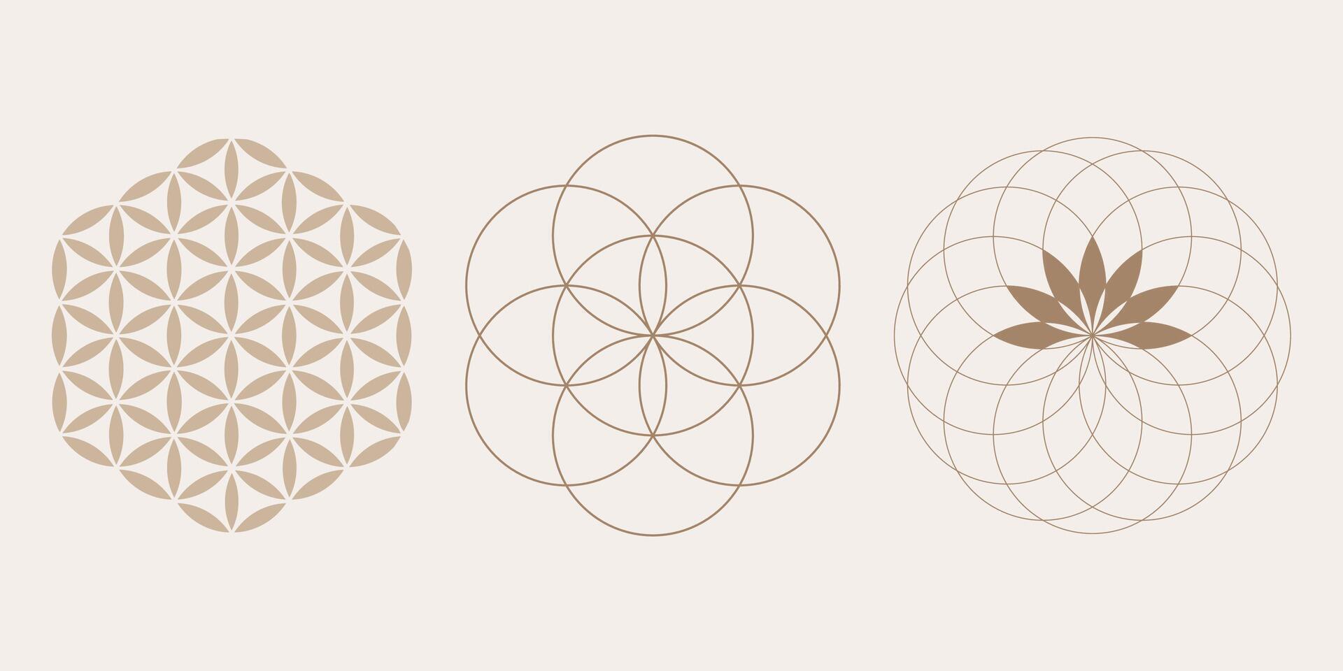 Yantra Mandala seed of life, Flower of Life, Mystical Lotus, set Sacred Geometry, symbols of harmony and balance. Retro style, illus isolated on white backgroundtration vector