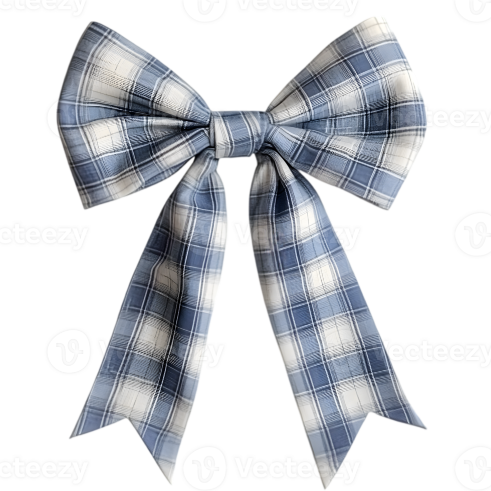 Blue and White Plaid Fabric Bow png