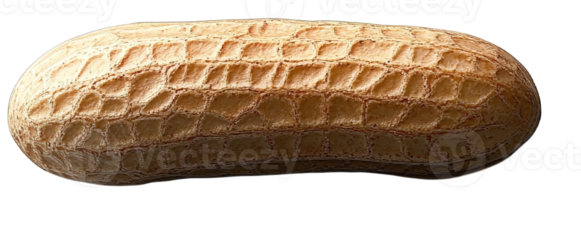 Single Raw Peanut in Shell, Isolated on Transparent Background, png