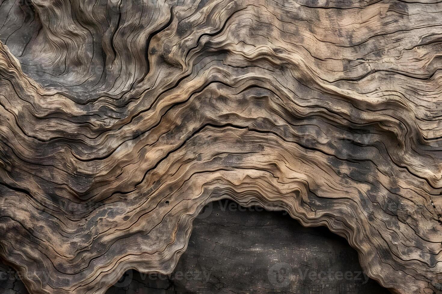 Waves of Wood Exploring the Intricate Patterns and Textures of Aged Driftwood, Revealing Nature's Artistic Mastery through Time and Erosion, a Stunning Visual Display of Natural Beauty. photo