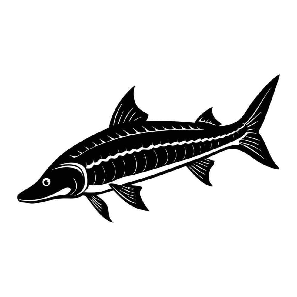 a black and white illustration of a fish. vector