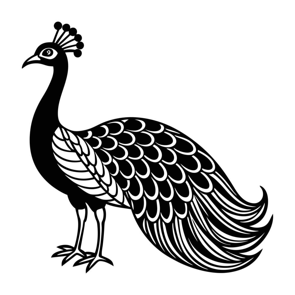 a black and white illustration of a peacock. vector