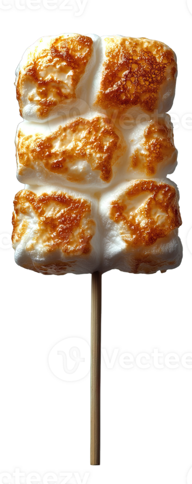Roasted marshmallows on stick isolated on transparent background png