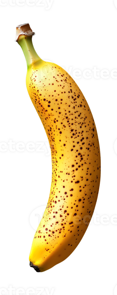 One piece banana isolated on transparent background png