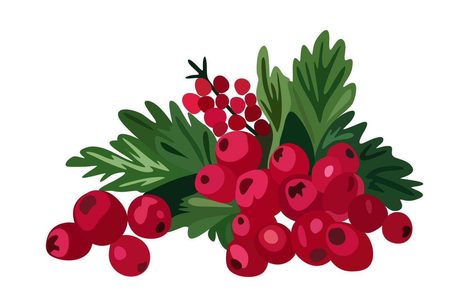 Cranberries with leaves. isolated illustration vector