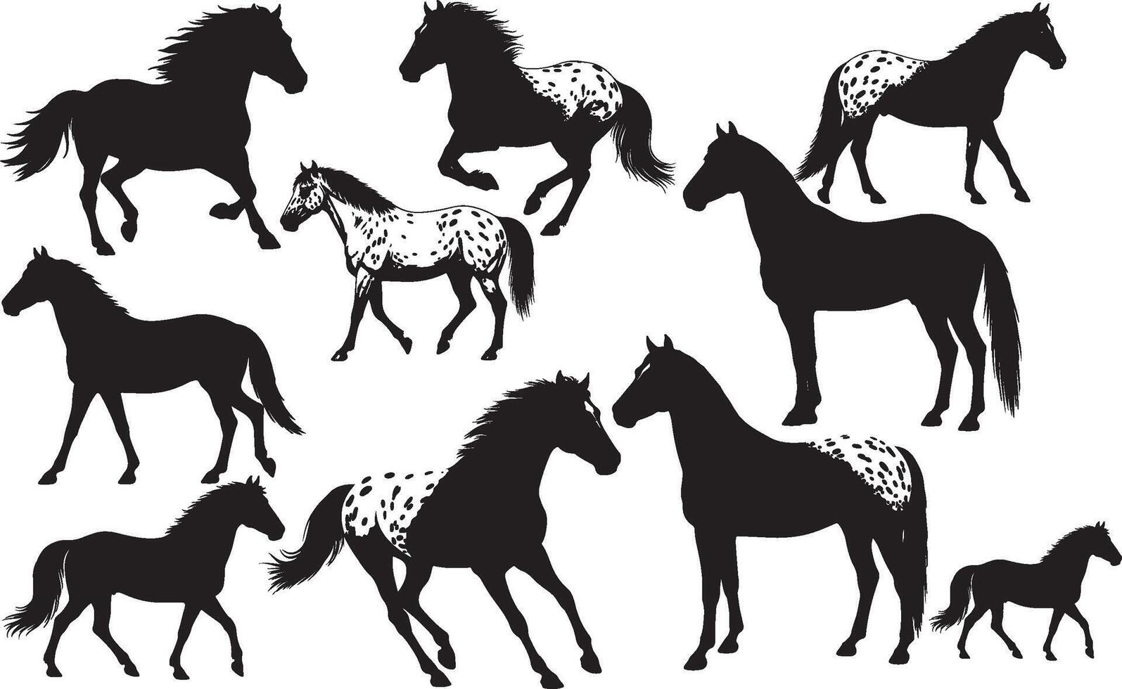 Set of horses with spots illustration vector