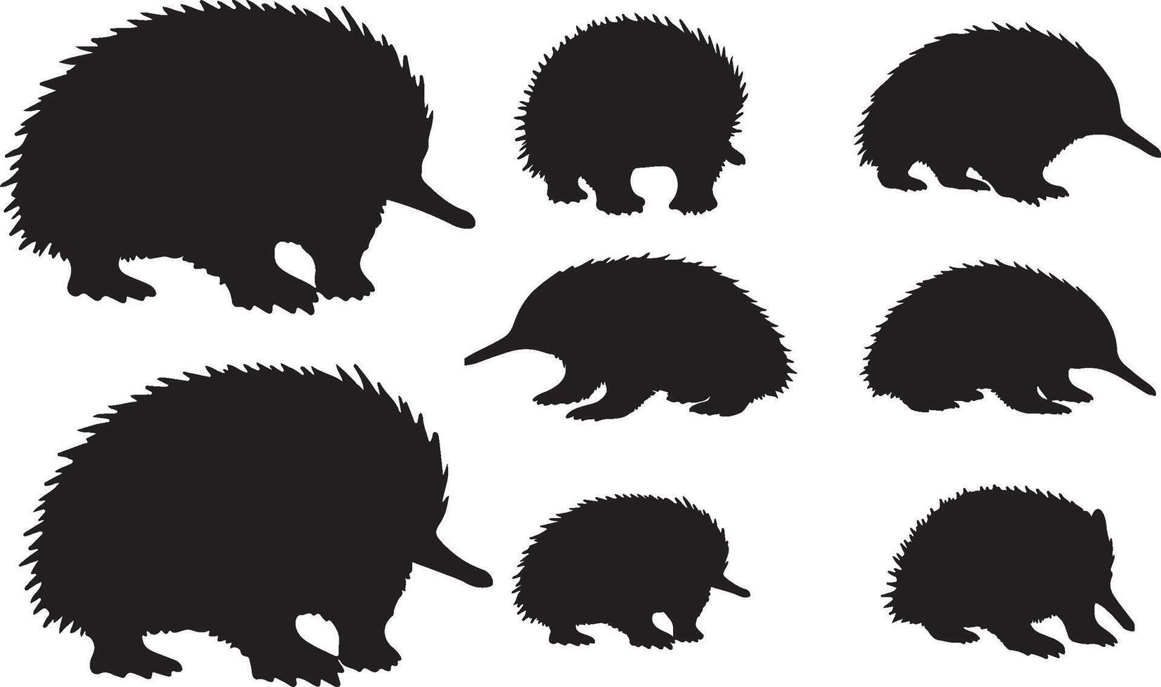 Silhouettes of echidna on white background vector