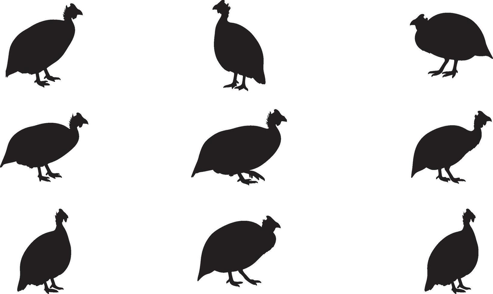 Set of silhouettes of different birds on white background vector