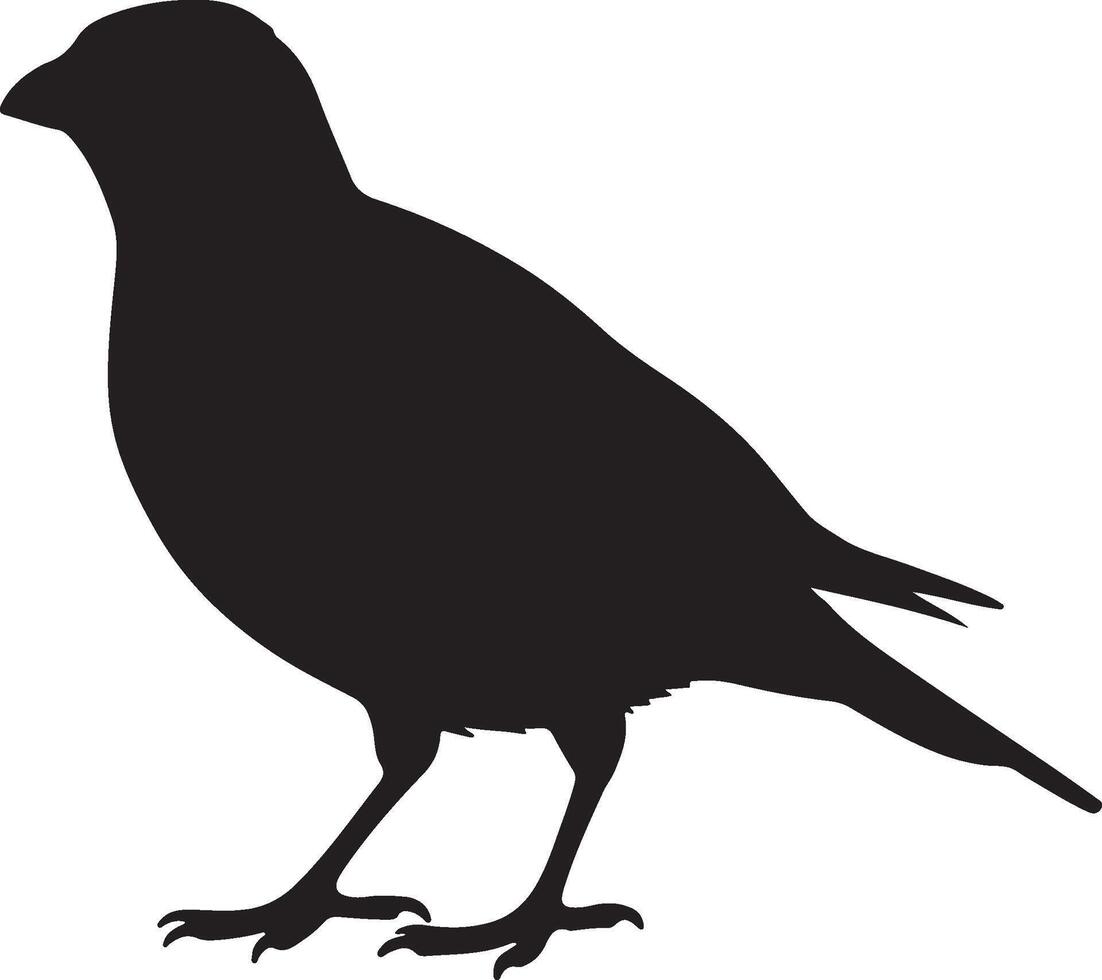 A black silhouette of a Cowbird standing on a white background vector