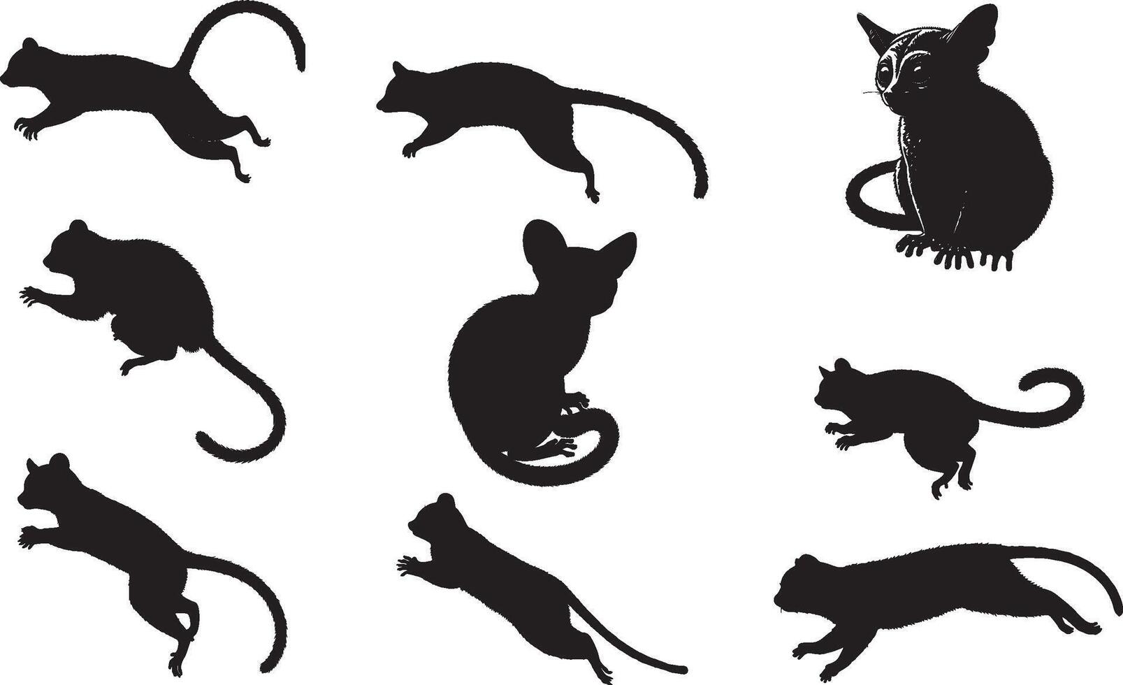 bush baby Silhouette vector