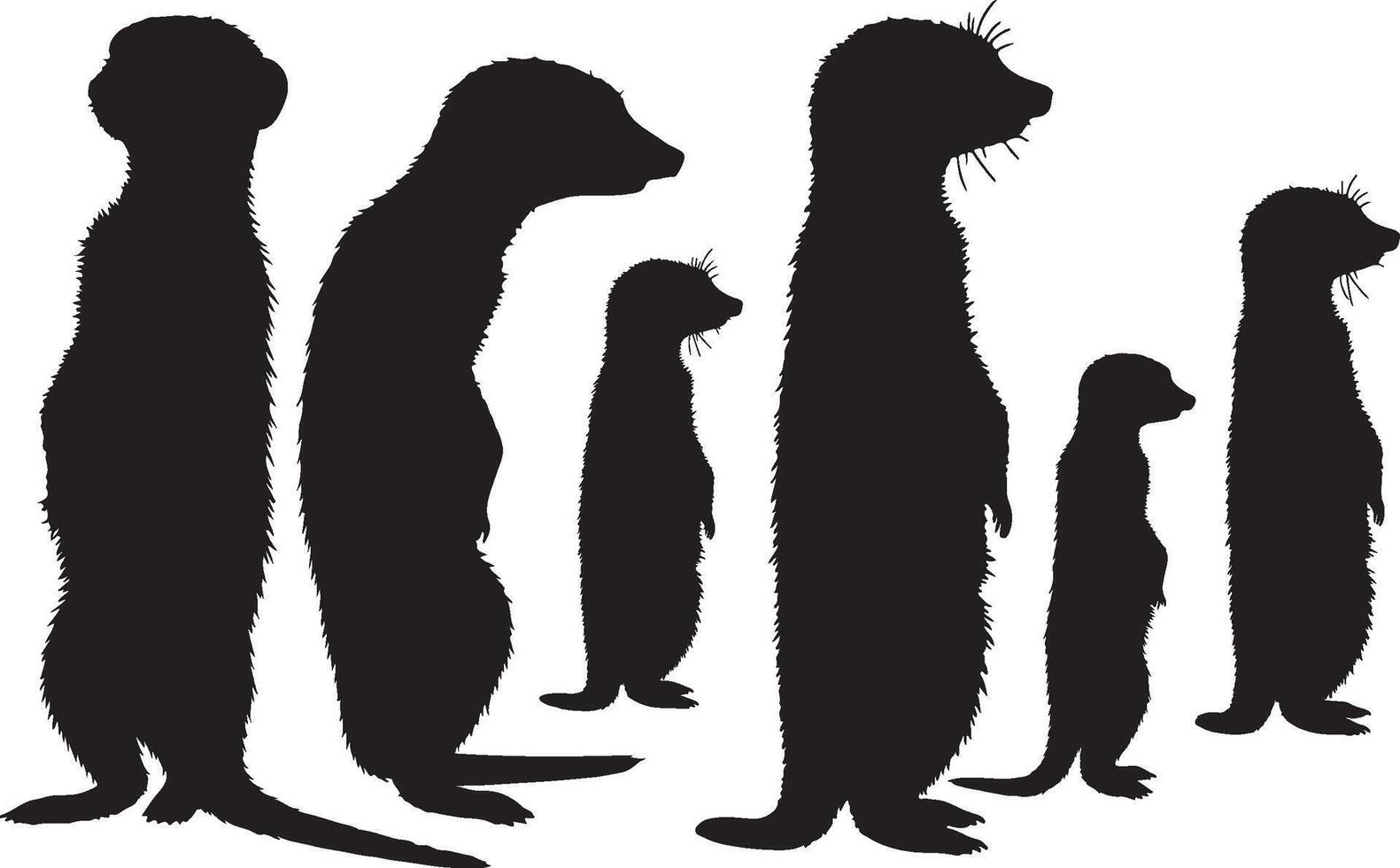 A group of meerkats standing in front of a white background vector