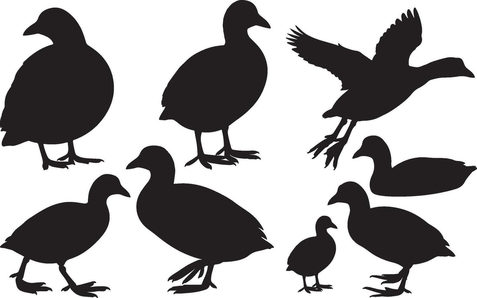 Ducks silhouettes set illustration vector