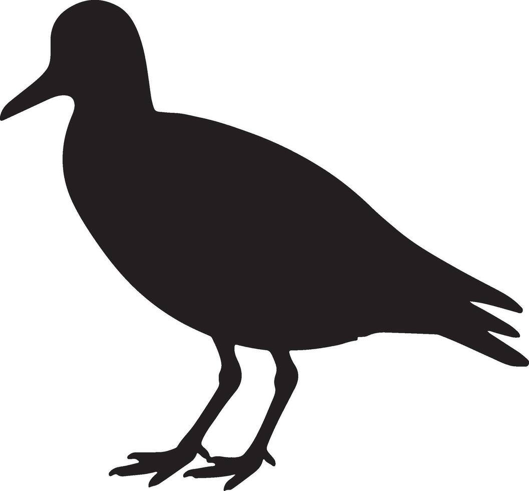 A black silhouette of a bird standing on a white background vector