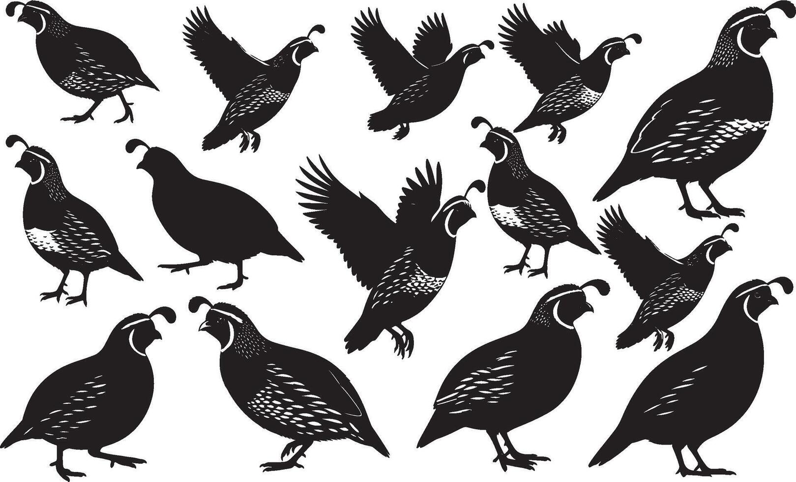 Set of black silhouettes of quail and pheasant vector