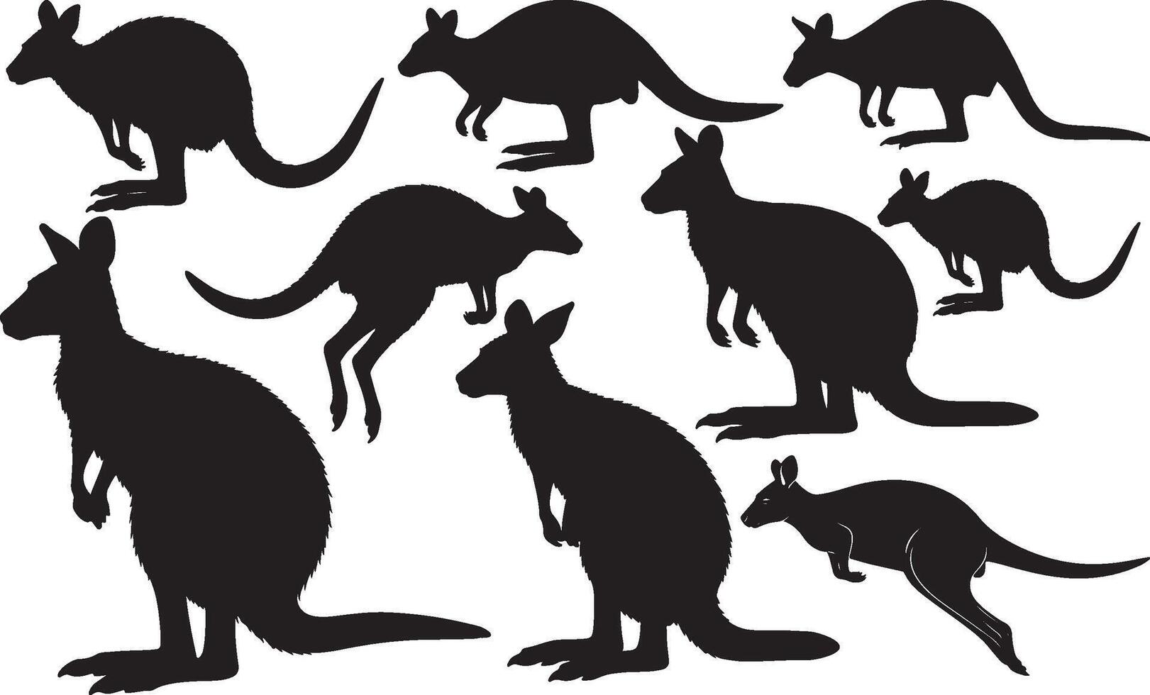 Australian kangaroo silhouette set illustration vector