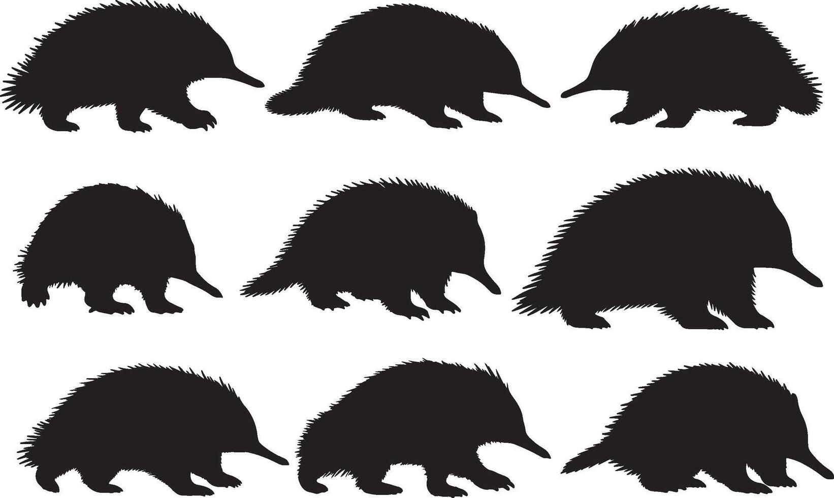 Silhouettes of echidna, including different sizes and shapes vector