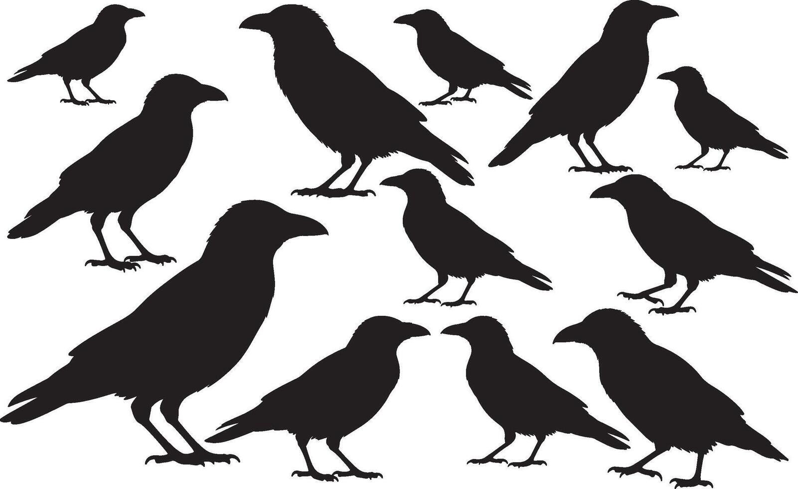 Black silhouettes of ravens on white background vector