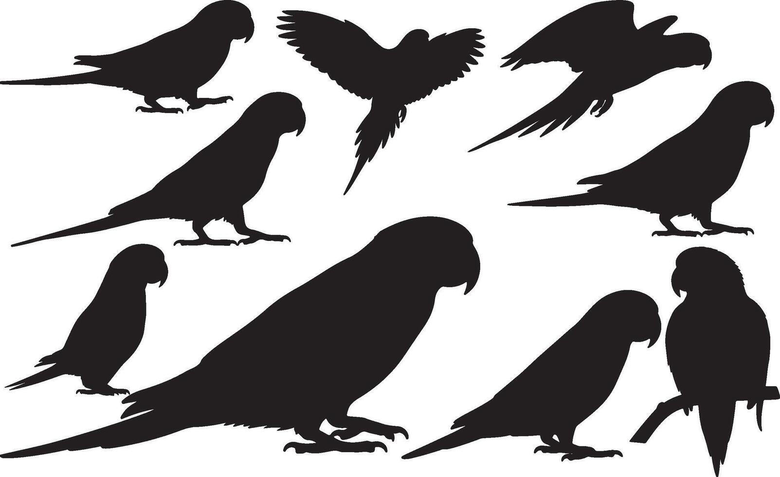 A variety of parrots silhouettes on a white background vector