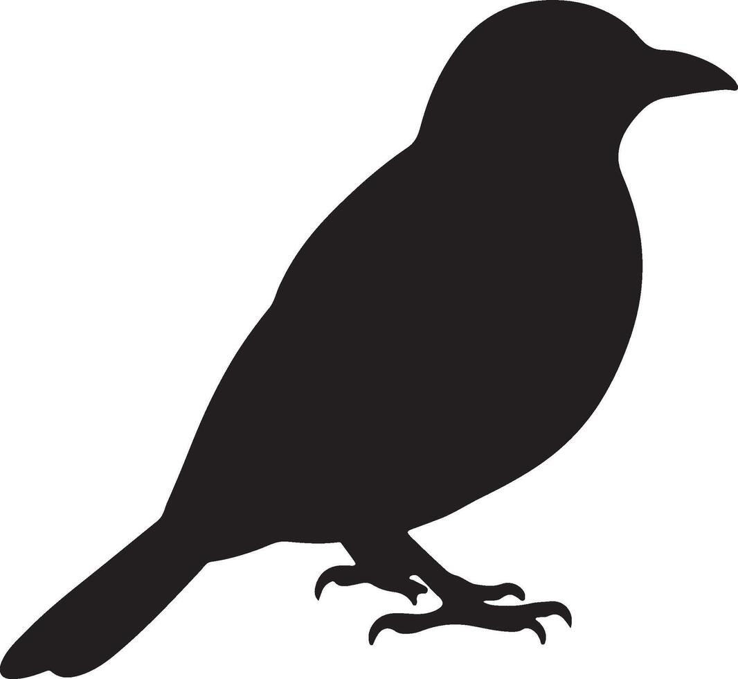 A black silhouette of a Catbird on a white background vector