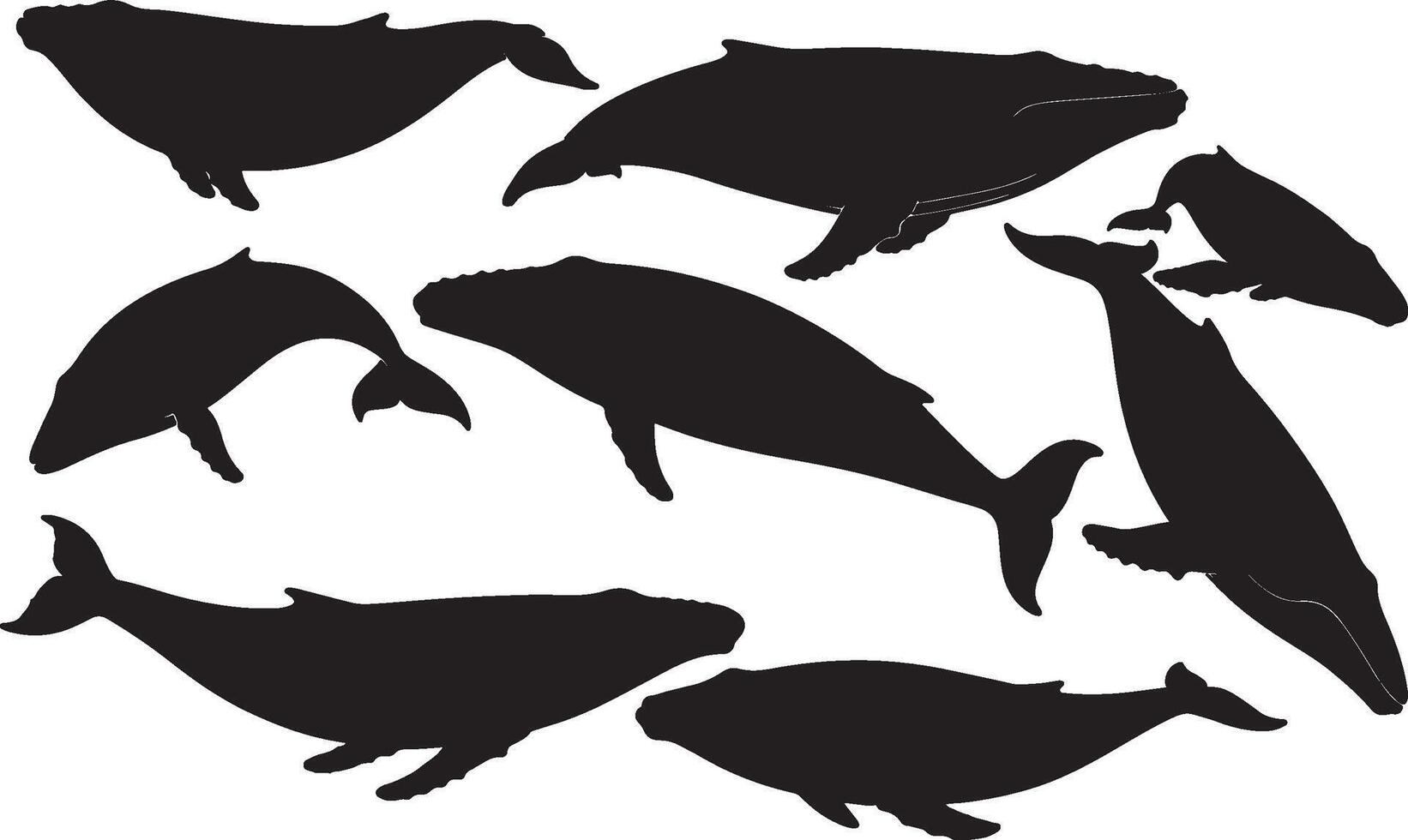 A set of silhouettes of various types of whales vector