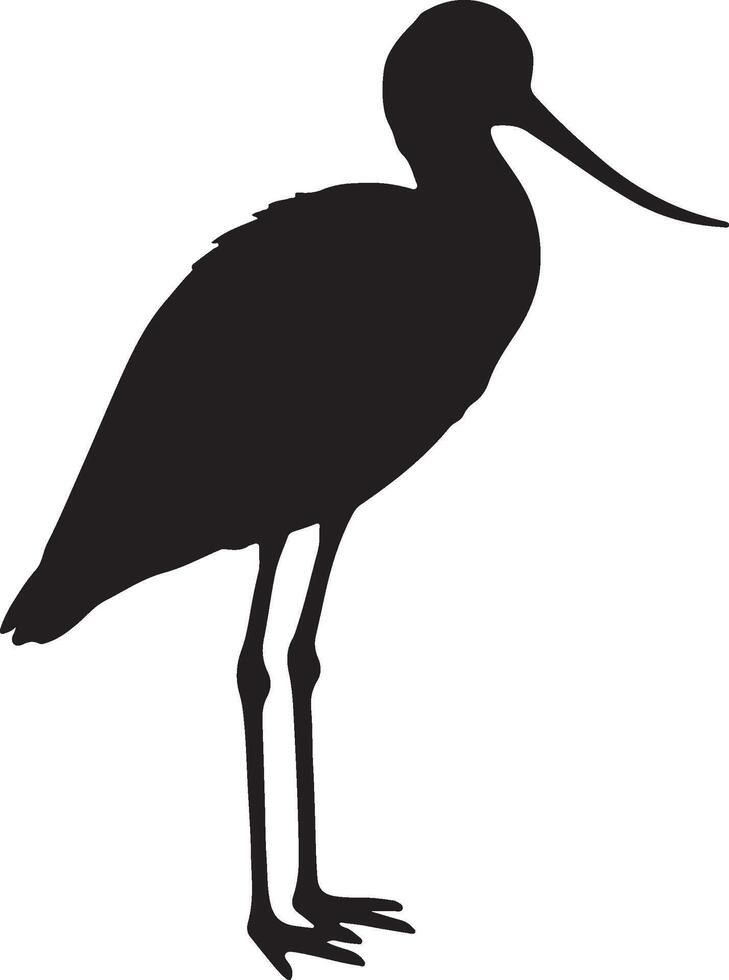 A silhouette of a bird standing on a white background vector