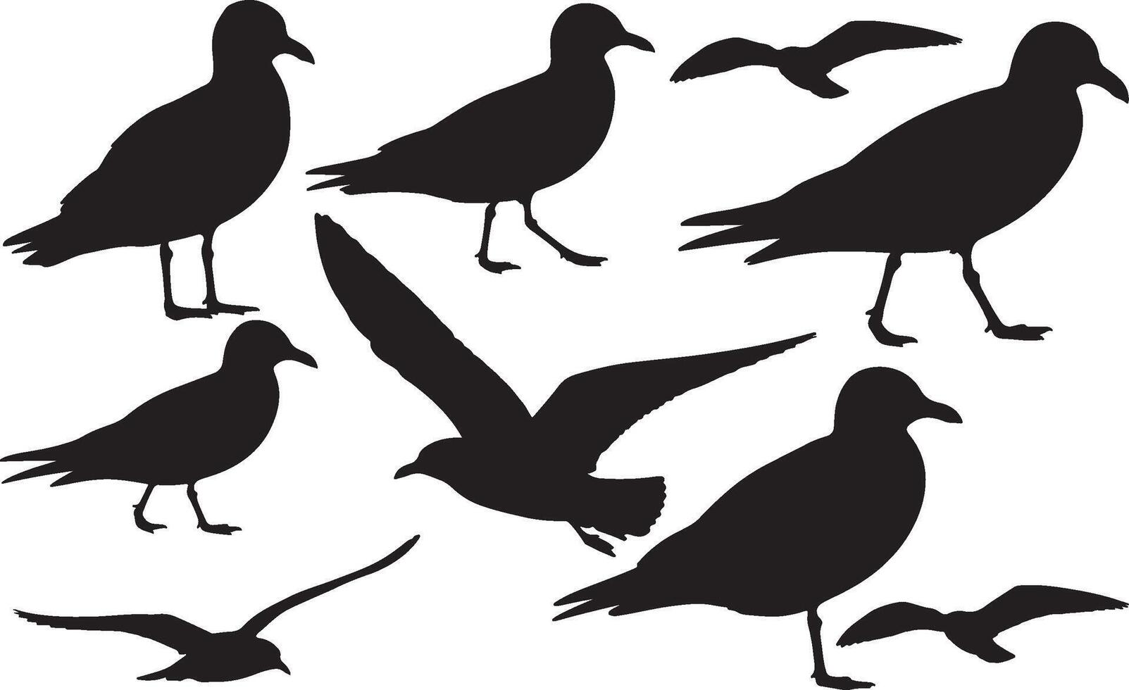 Black headed gull Silhouette vector