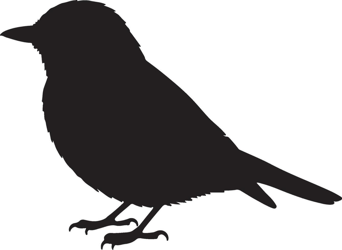 A black silhouette of a Flycatcher on a white background vector