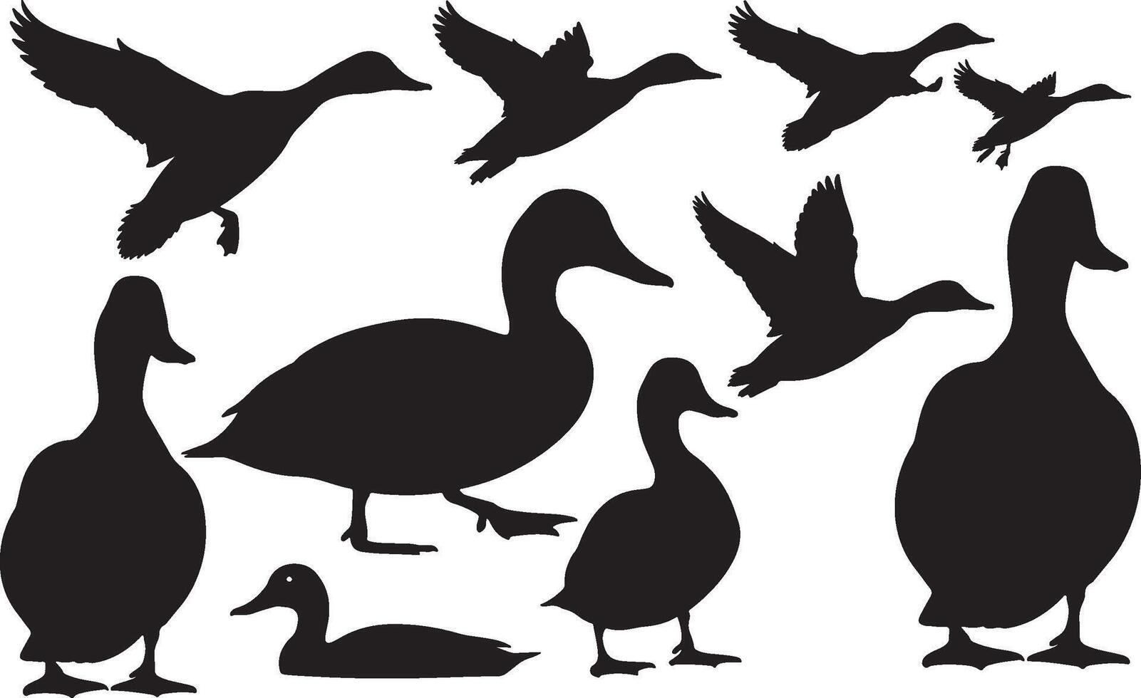 Ducks silhouettes set on white background vector