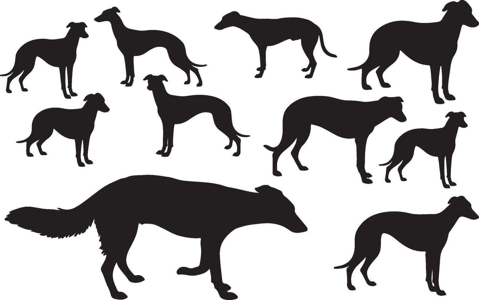 Greyhound silhouette set illustration vector