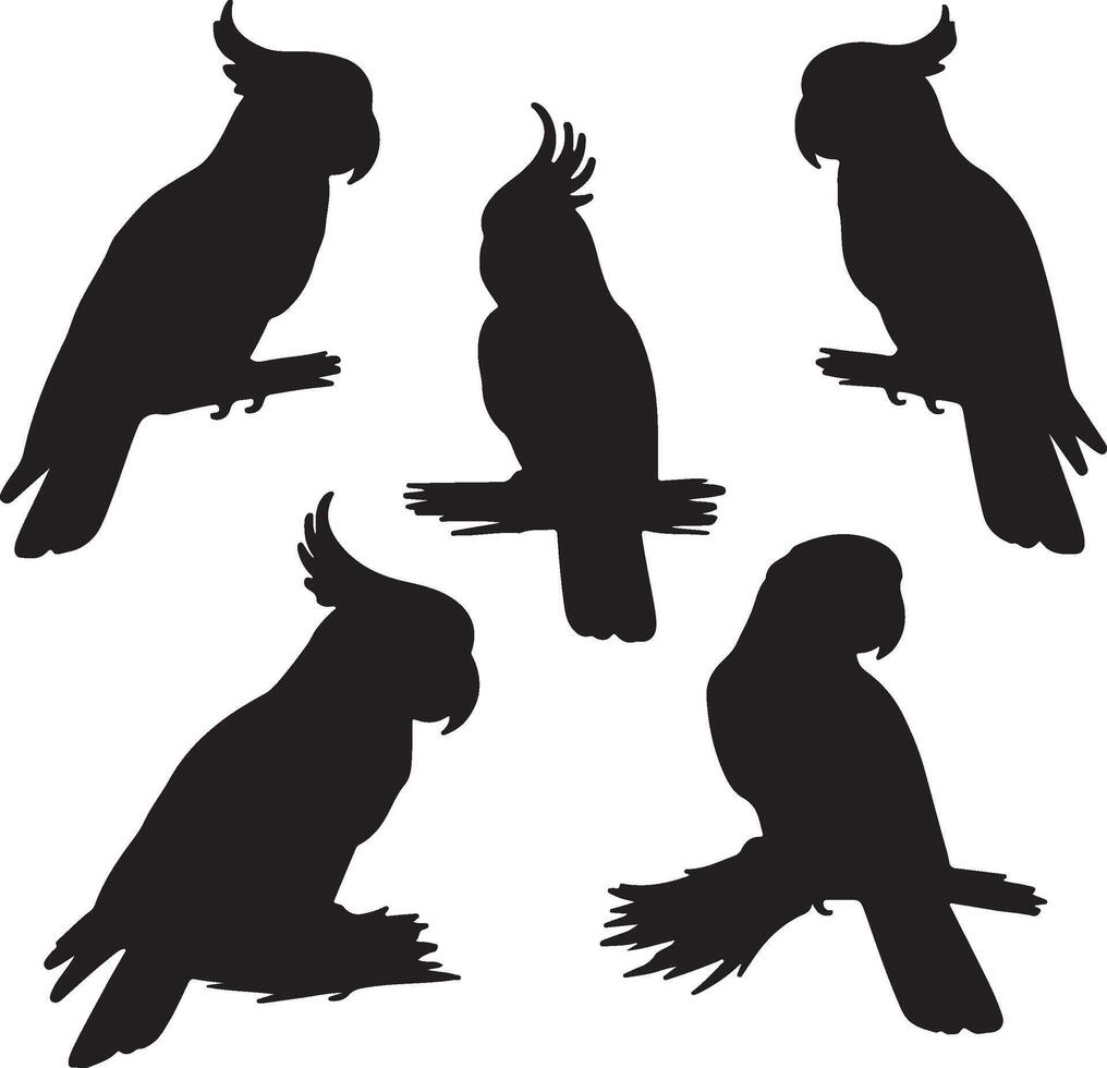 A set of silhouettes of parrots vector